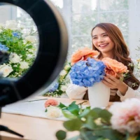 Influencer Accountants 2